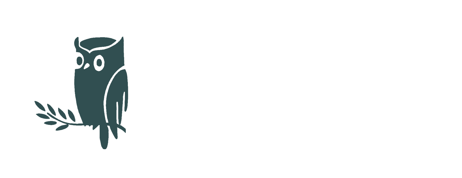 Logo Egmont Petersen logo White